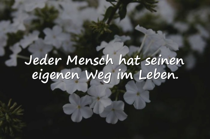 Bilder mit schöne sprüche leben - 15