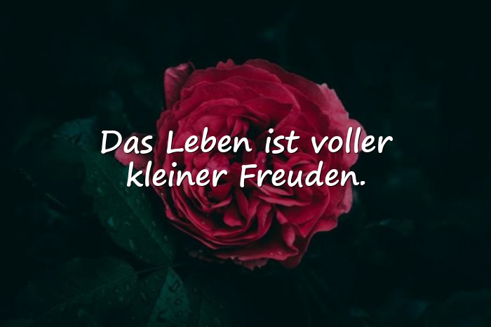 Bilder mit schöne sprüche leben - 13