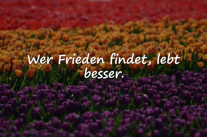 Bilder mit schöne sprüche leben - 10