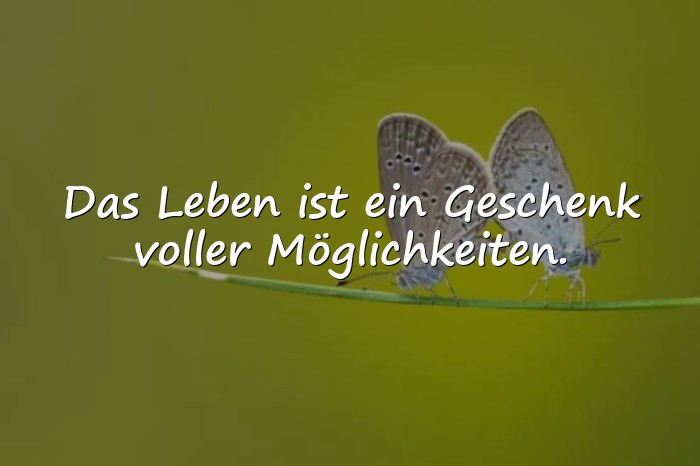 Bilder mit schöne sprüche leben - 7