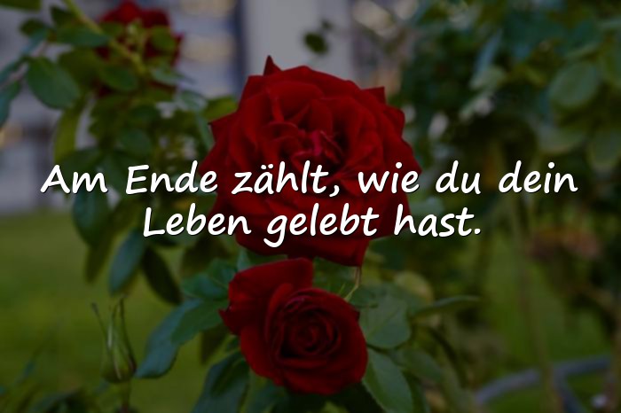 Bilder mit schöne sprüche leben - 1