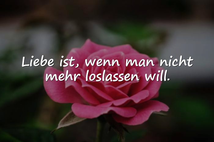 Bilder mit schöne sprüche liebe - 17