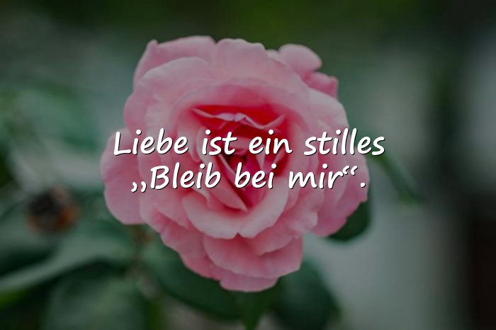 Bilder mit schöne sprüche liebe - 14