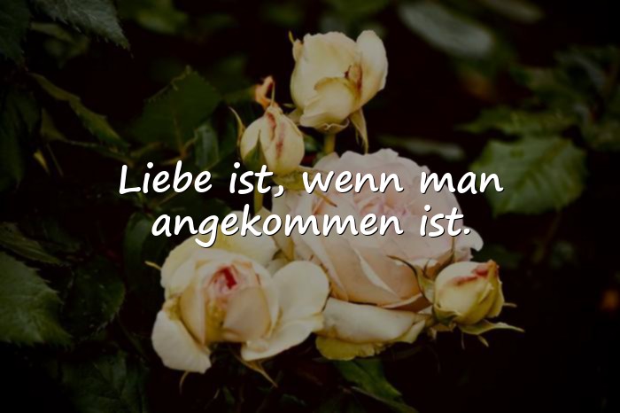 Bilder mit schöne sprüche liebe - 4