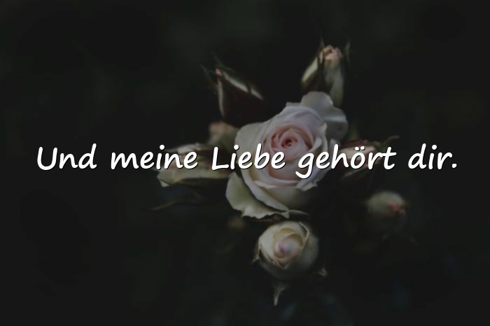 Bilder mit schöne sprüche liebe - 1