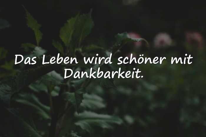Bilder mit schöne sprüche über das leben - 8