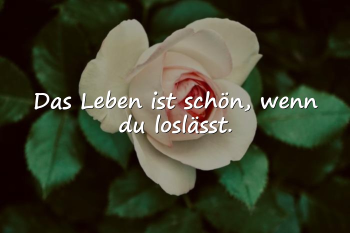 Bilder mit schöne sprüche über das leben - 19