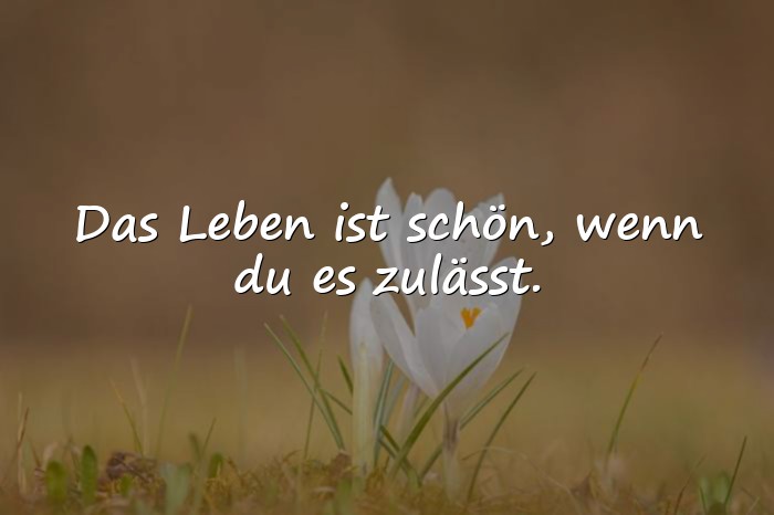 Bilder mit schöne sprüche über das leben - 5