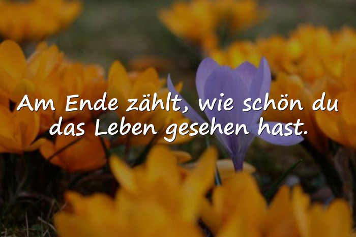 Bilder mit schöne sprüche über das leben - 1