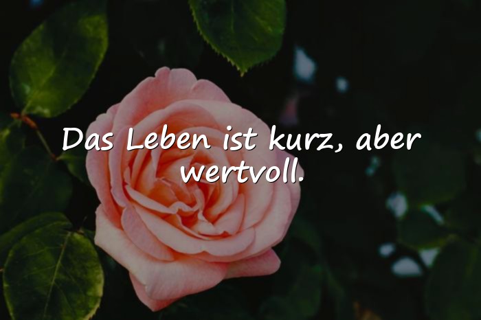 Bilder mit schöne zitate leben - 4