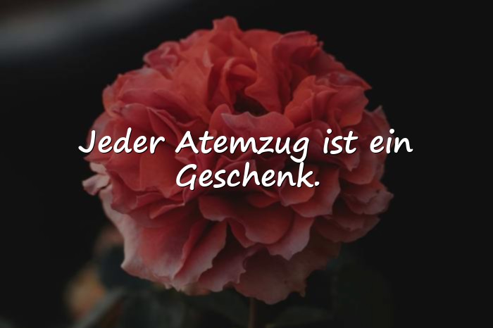 Bilder mit schöne zitate leben - 25
