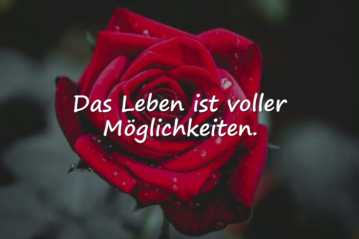 Bilder mit schöne zitate leben - 19