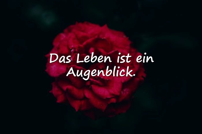 Bilder mit schöne zitate leben - 4