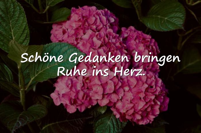 Bilder mit schöner spruch - 4