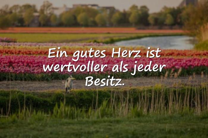 Bilder mit schöner spruch - 24