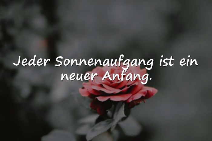 Bilder mit schöner spruch - 20