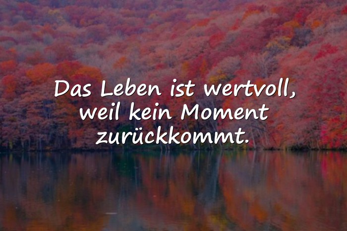 Bilder mit schöner spruch - 6