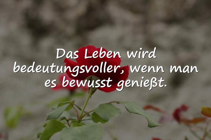 Bilder mit schöner spruch - 1