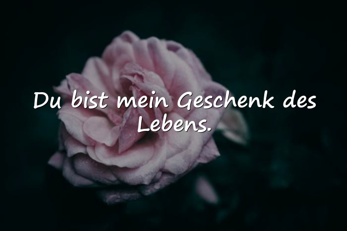 Bilder mit schwester sprüche - 2