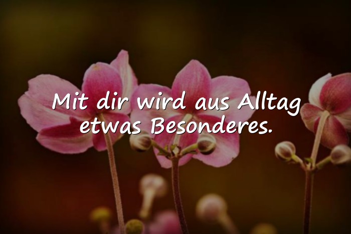 Bilder mit schwester sprüche - 11