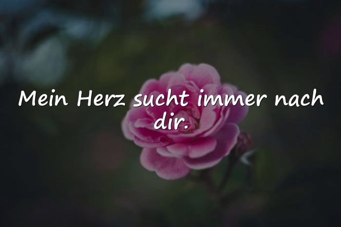 Bilder mit sehnsucht sprüche - 21
