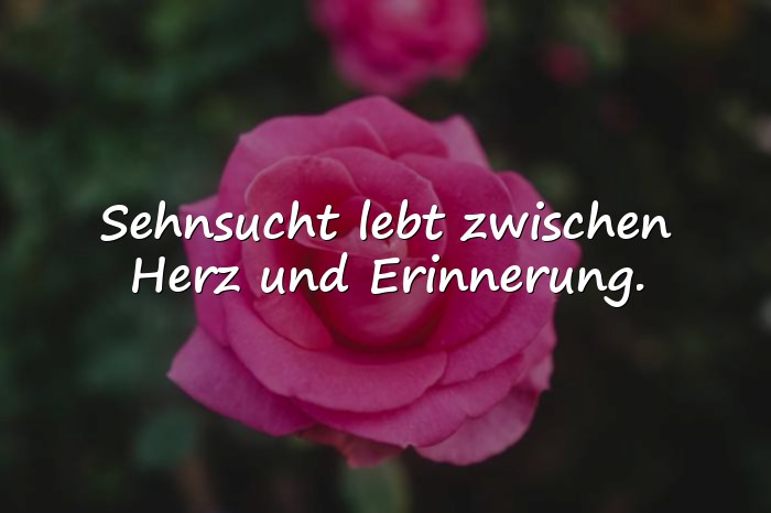 Bilder mit sehnsucht sprüche - 21