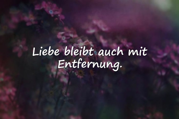 Bilder mit sehnsucht sprüche - 16