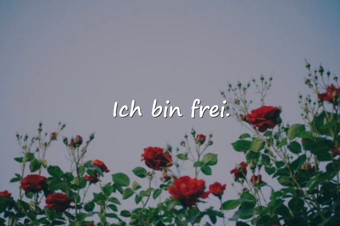 Bilder mit sehr kurze sprüche - 11