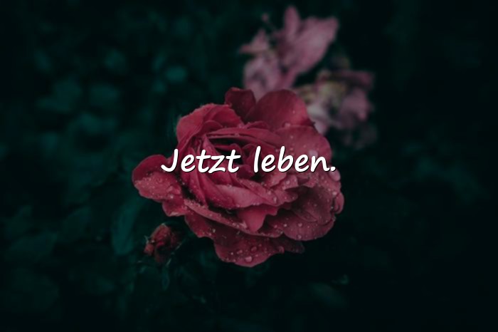 Bilder mit sehr kurze sprüche - 12
