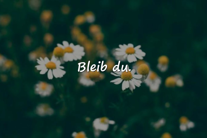 Bilder mit sehr kurze sprüche - 5