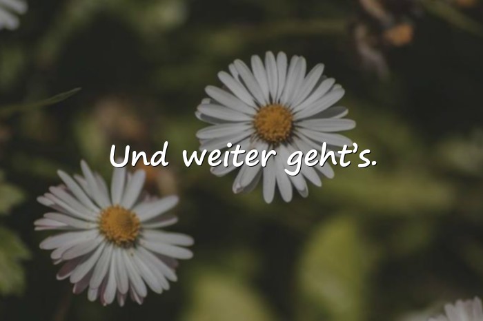 Bilder mit sehr kurze sprüche - 22