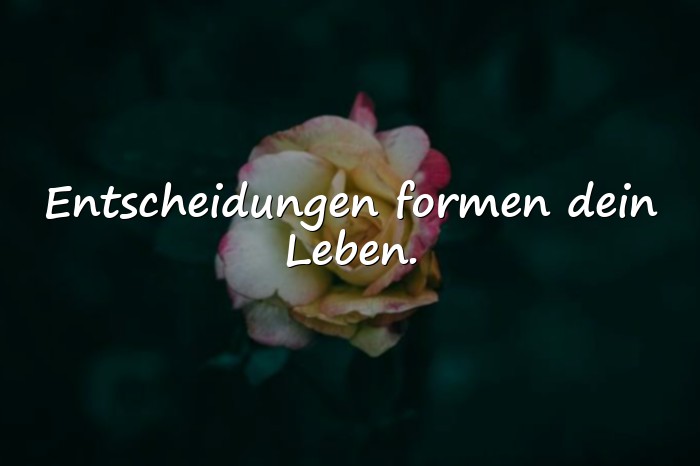 Bilder mit sinnvolle sprüche - 10