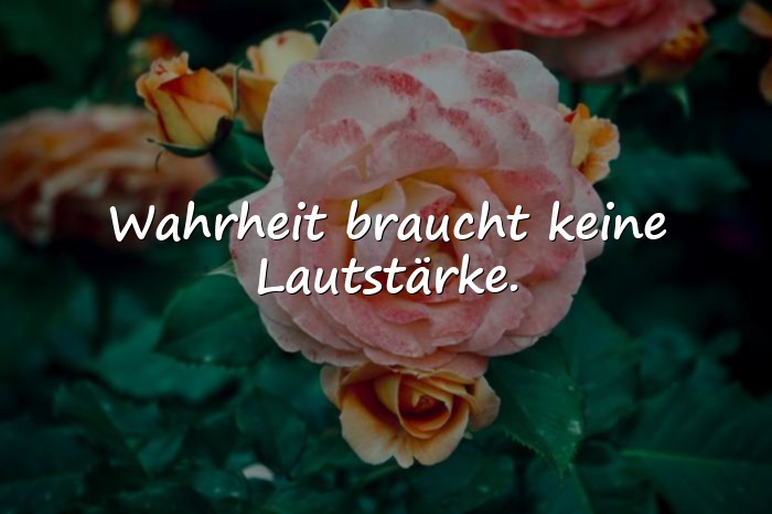 Bilder mit sinnvolle sprüche - 7
