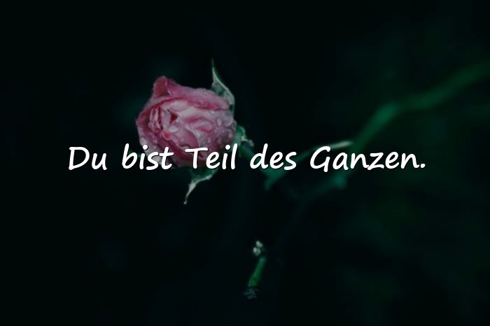 Bilder mit spirituelle sprüche - 4