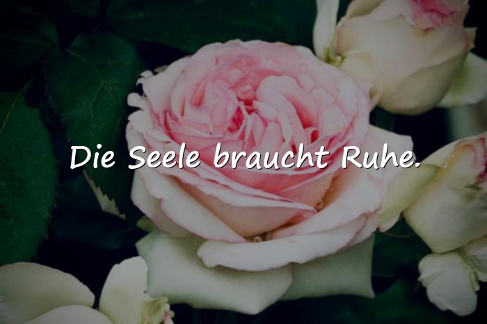 Bilder mit spirituelle sprüche - 14