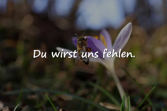 Bilder mit spruch abschied kollege - 23