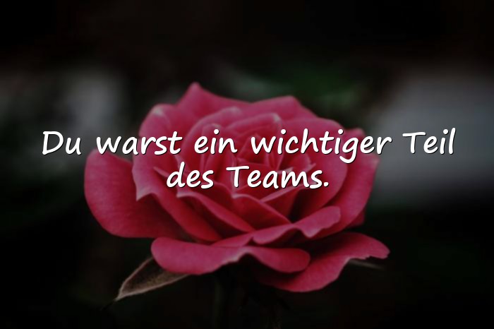 Bilder mit spruch abschied kollege - 25