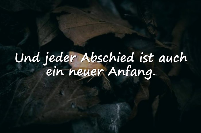 Bilder mit spruch abschied kollege - 6