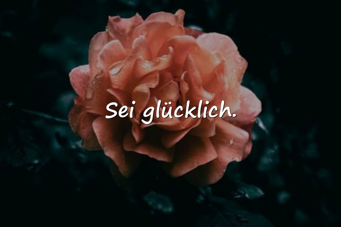 Bilder mit spruch abschied kollege - 5