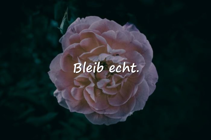 Bilder mit spruch abschied kollege - 4