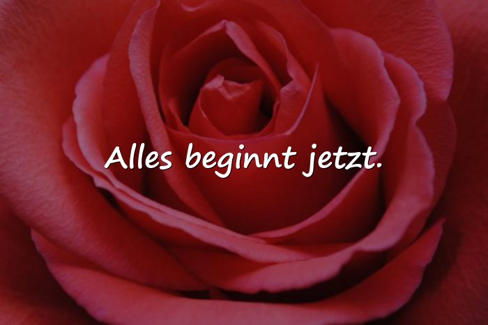 Bilder mit spruch abschied kollege - 3