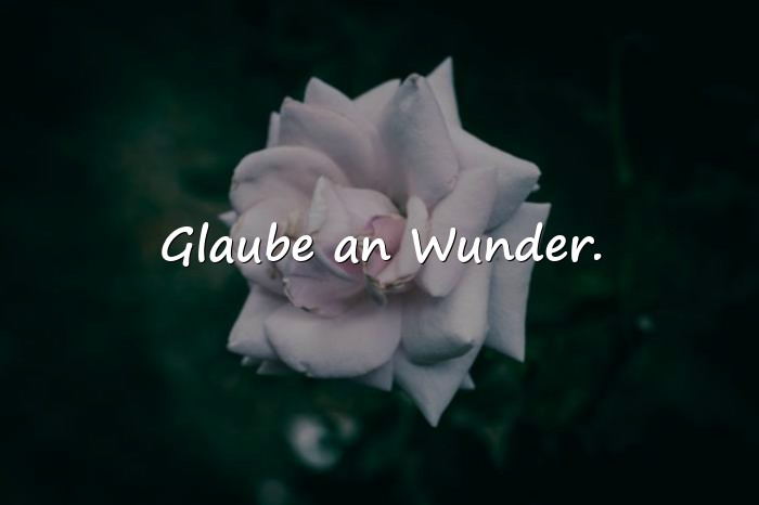 Bilder mit spruch abschied kollege - 1