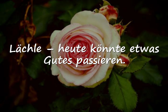 Bilder mit spruch des tages - 13
