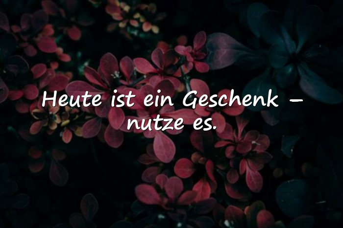 Bilder mit spruch des tages - 9