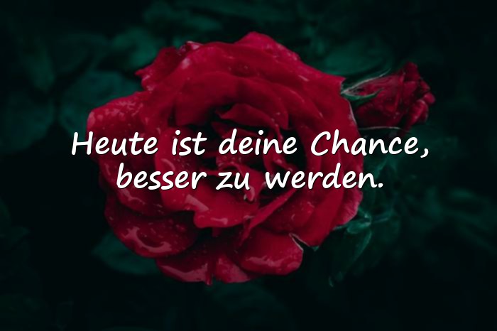 Bilder mit spruch des tages - 1