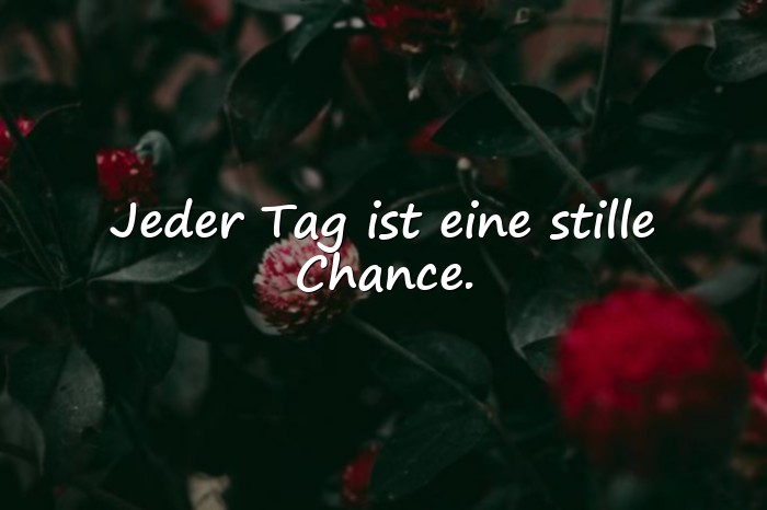 Bilder mit spruch des tages - 6