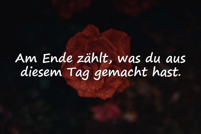 Bilder mit spruch des tages - 1