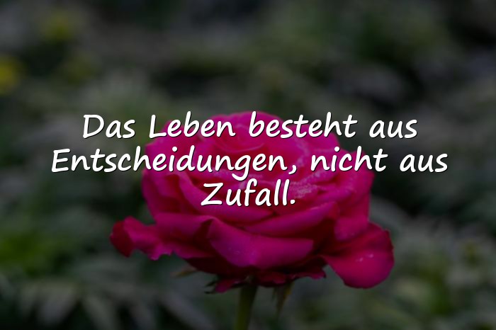 Bilder mit spruch über das leben - 2
