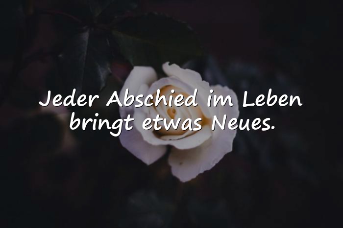 Bilder mit spruch über das leben - 19