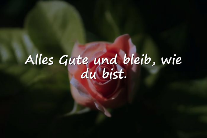 Bilder mit spruch zum abschied kollegin - 16